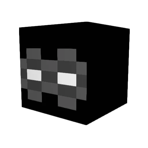 Tucker528 Minecraft avatar head, 3D render