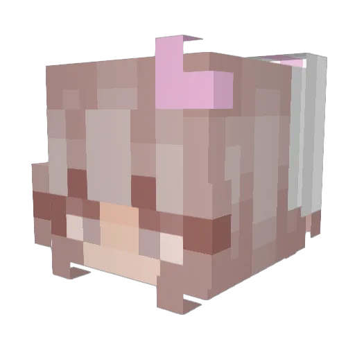 Tuckerx Minecraft avatar head, 3D render