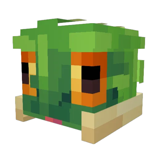 Tuckett Minecraft avatar head, 3D render