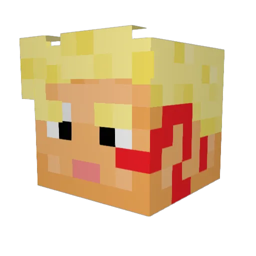 Tucktuck_SUS Minecraft avatar head, 3D render