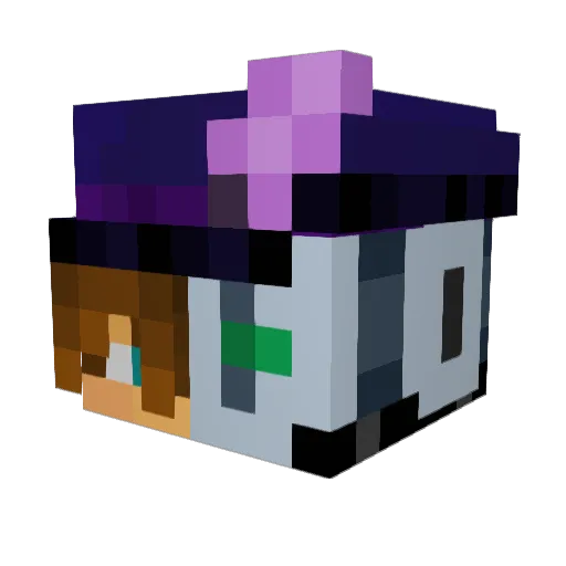Tucsi2018 Minecraft avatar head, 3D render