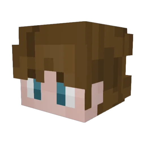 Tudlicious Minecraft avatar head, 3D render