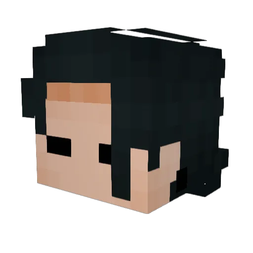 Tudor1234546 Minecraft avatar head, 3D render