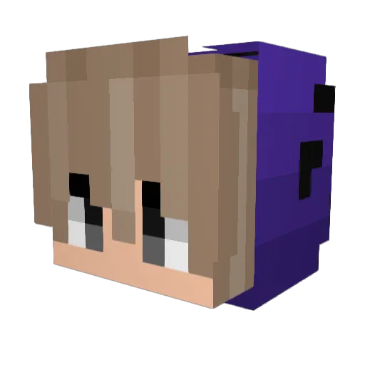 Tudor261 Minecraft avatar head, 3D render