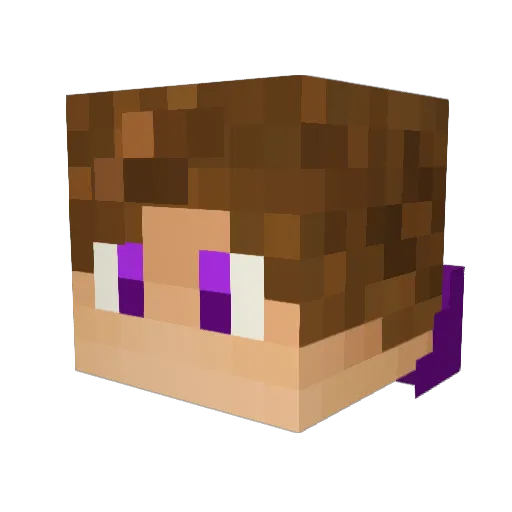 Tuds0n Minecraft avatar head, 3D render