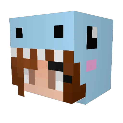 Tuersteher_ Minecraft avatar head, 3D render