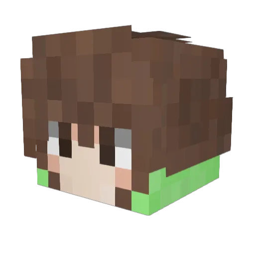 Tuewn Minecraft avatar head, 3D render