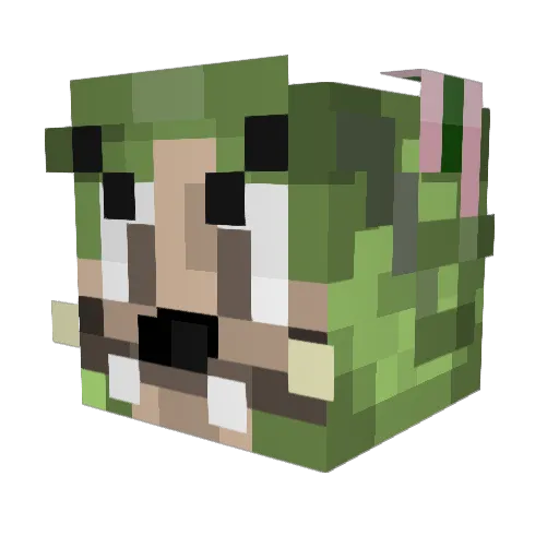 TuffestInDaWorld Minecraft avatar head, 3D render