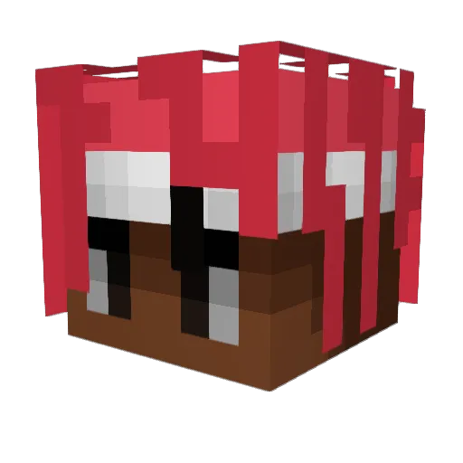 Tuffo101 Minecraft avatar head, 3D render