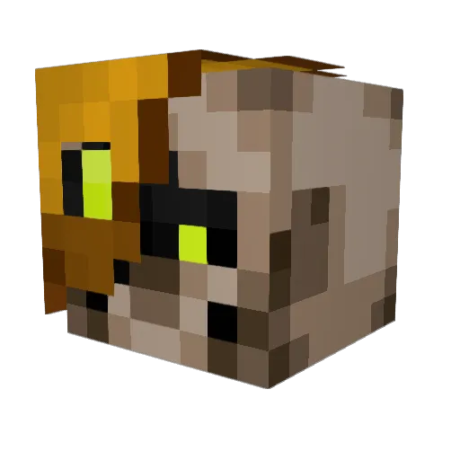 Tuffs_Magruffs Minecraft avatar head, 3D render