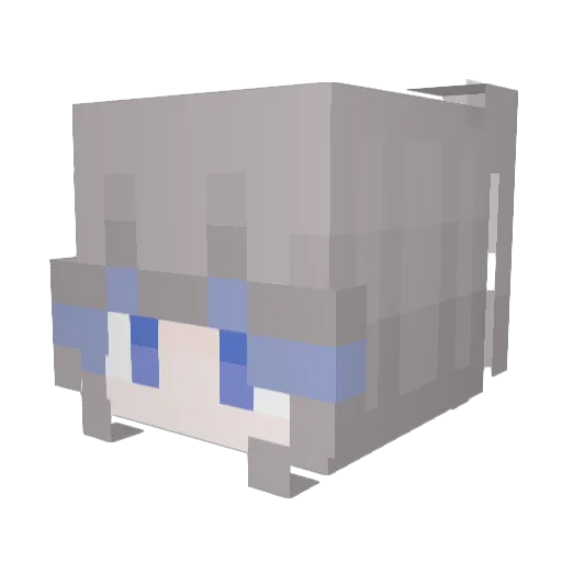 Tuffy1914 Minecraft avatar head, 3D render