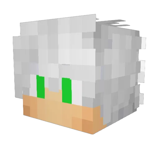 Tug4Banned Minecraft avatar head, 3D render