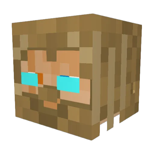 Tuga5791 Minecraft avatar head, 3D render
