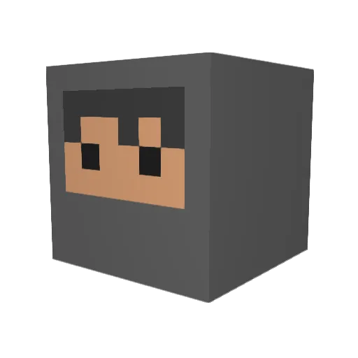 TugsUsername Minecraft avatar head, 3D render