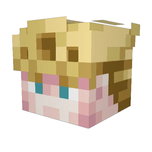 Tugsby Minecraft avatar head, 3D render