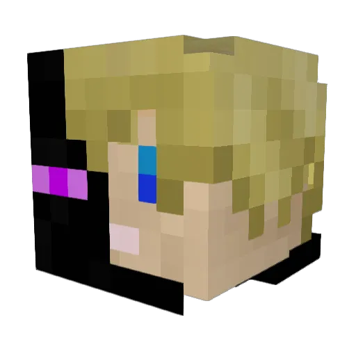 Tuhngee Minecraft avatar head, 3D render