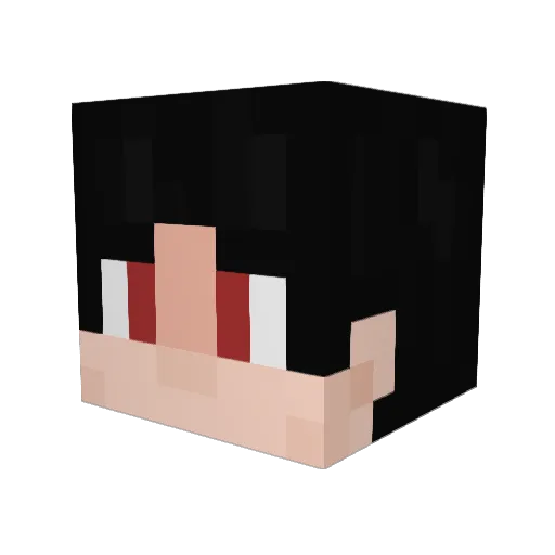 TuiSed Minecraft avatar head, 3D render