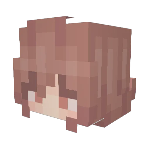 Tuia Minecraft avatar head, 3D render