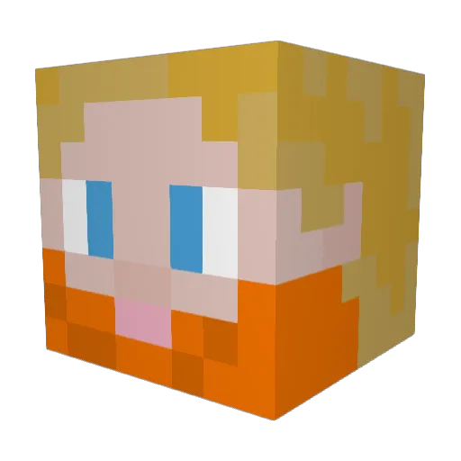 TuiiBird Minecraft avatar head, 3D render