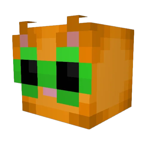 TuiiMints Minecraft avatar head, 3D render