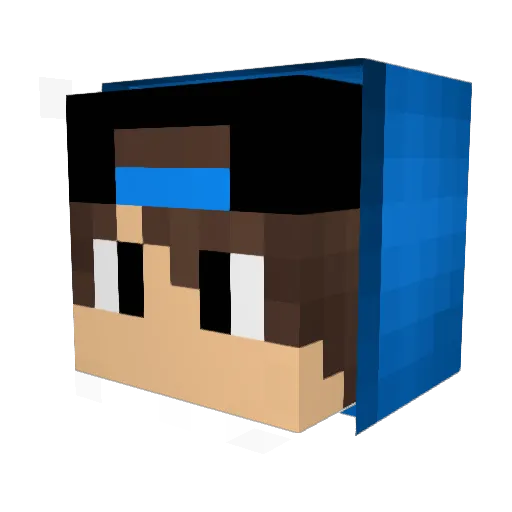 Tuimerda Minecraft avatar head, 3D render