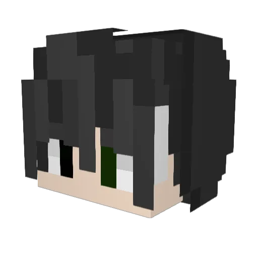 Tujgo_6 Minecraft avatar head, 3D render
