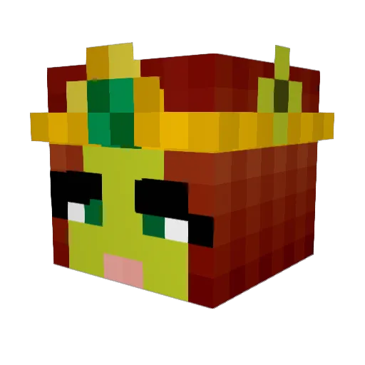 Tujtek Minecraft avatar head, 3D render