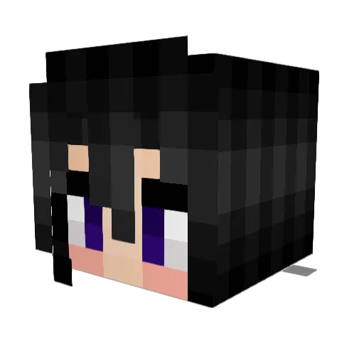 Tukianiboy Minecraft avatar head, 3D render