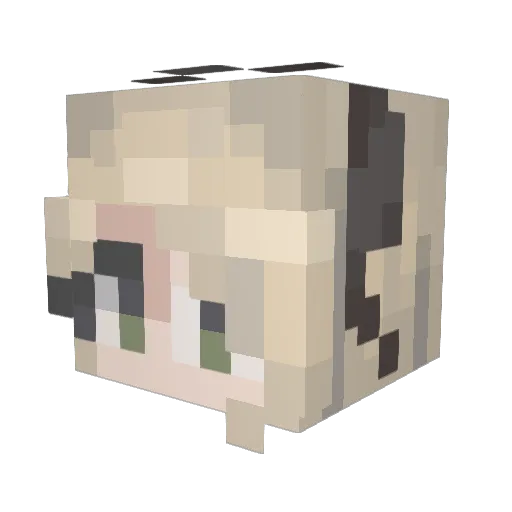 Tukonn Minecraft avatar head, 3D render
