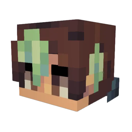 Tukov Minecraft avatar head, 3D render
