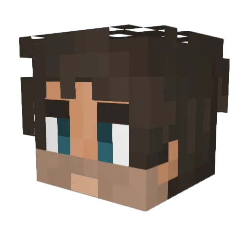 Tuksx Minecraft avatar head, 3D render