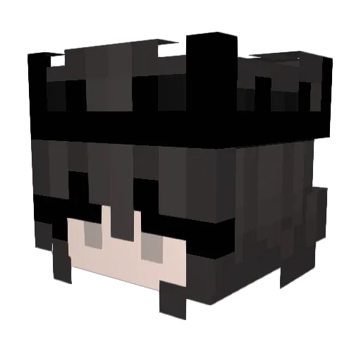Tukwasicy867 Minecraft avatar head, 3D render