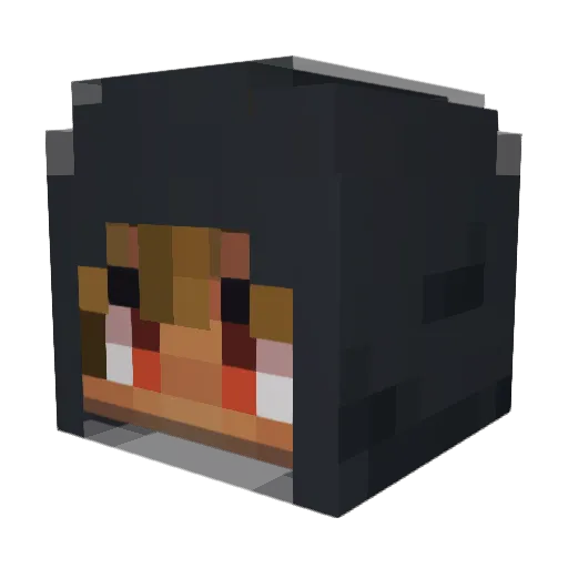 Tukyyz Minecraft avatar head, 3D render