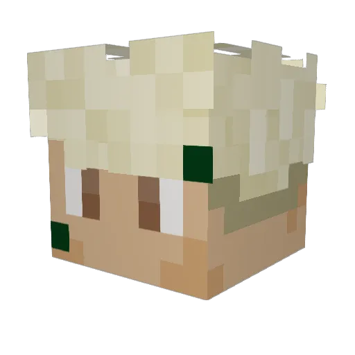 TulaHermosa Minecraft avatar head, 3D render