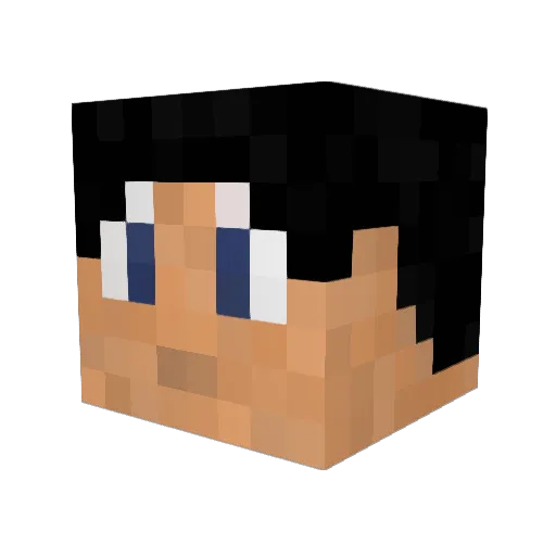 Tulak_Zabijak Minecraft avatar head, 3D render