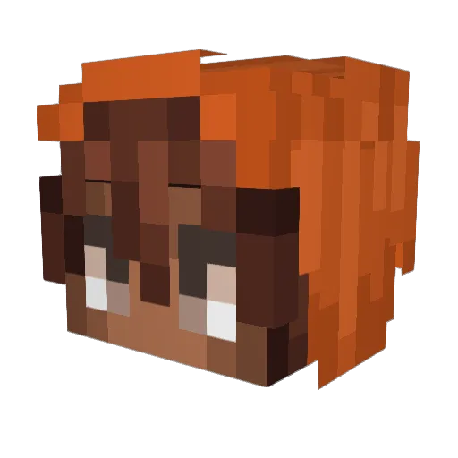 Tulay Minecraft avatar head, 3D render