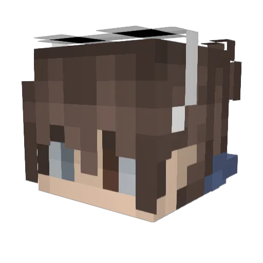Tulga2 Minecraft avatar head, 3D render