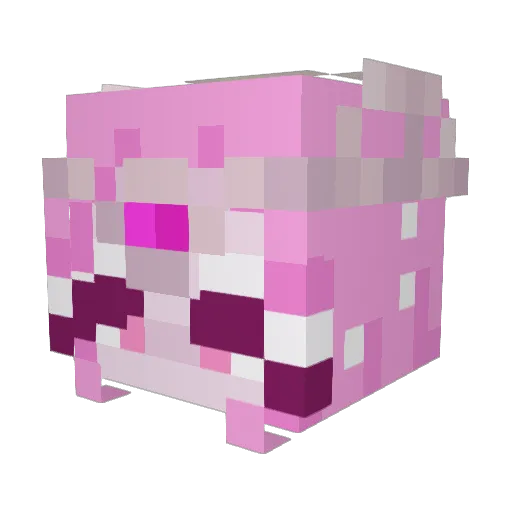 TulipFields___ Minecraft avatar head, 3D render