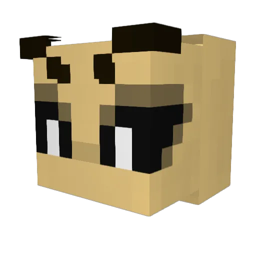 TulipNova Minecraft avatar head, 3D render