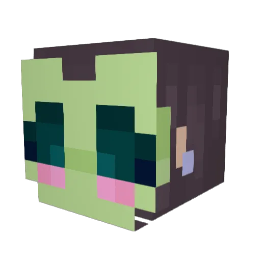 TulipsArePink Minecraft avatar head, 3D render