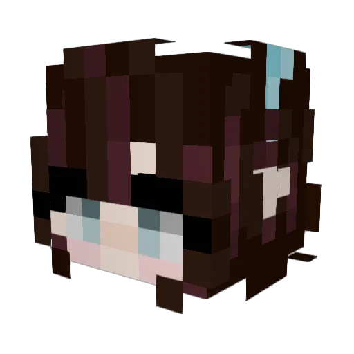 Tulipzecret Minecraft avatar head, 3D render