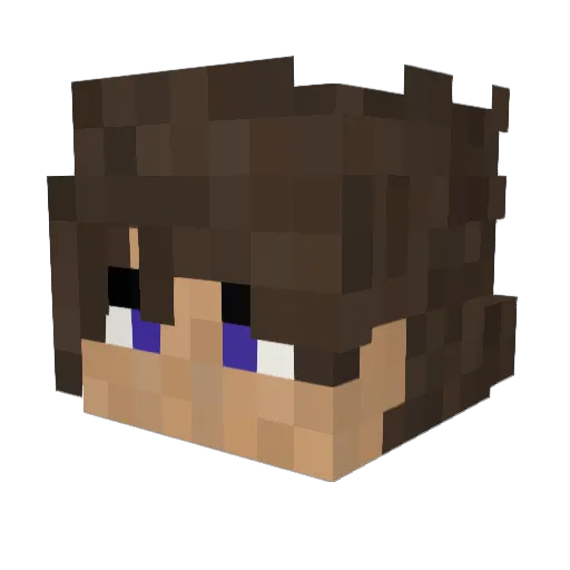 Tulirepo Minecraft avatar head, 3D render