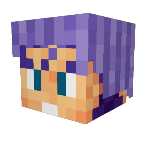 Tullyeo Minecraft avatar head, 3D render