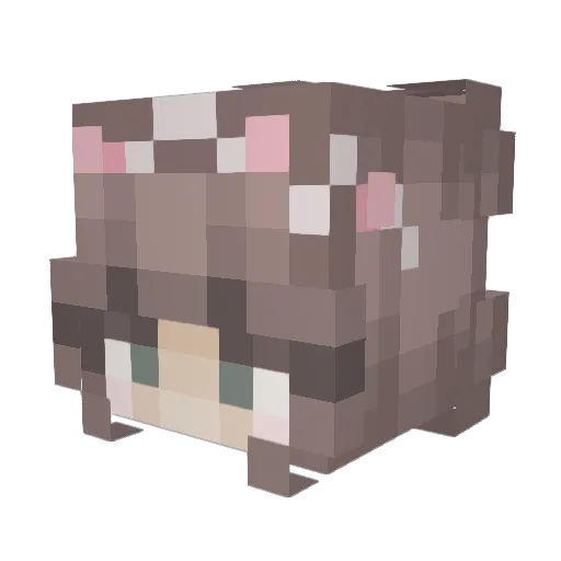 Tulypia Minecraft avatar head, 3D render