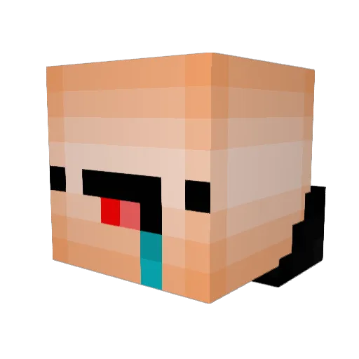 TumGoGo Minecraft avatar head, 3D render