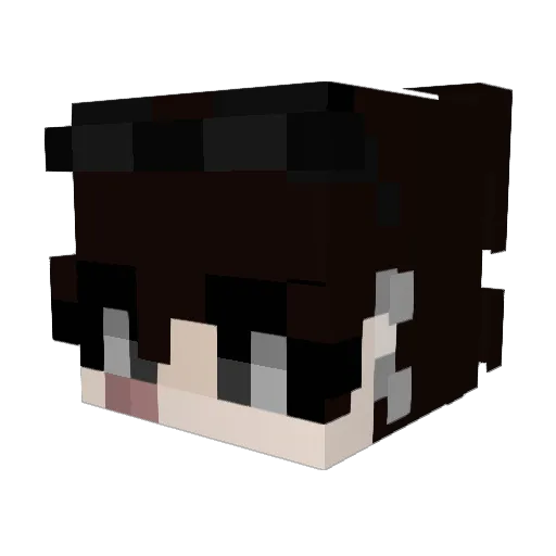 TumbadouCT Minecraft avatar head, 3D render