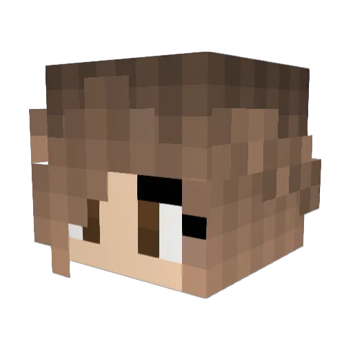 Tumble04 Minecraft avatar head, 3D render