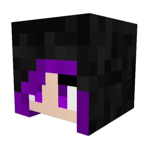 Tumblekat Minecraft avatar head, 3D render
