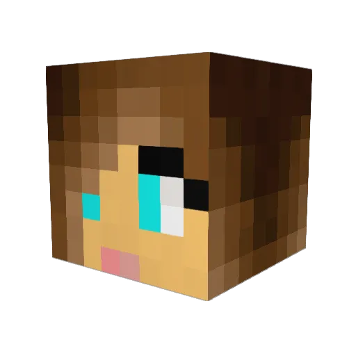 Tumblieboo2 Minecraft avatar head, 3D render