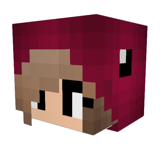 TumblrFvck Minecraft avatar head, 3D render